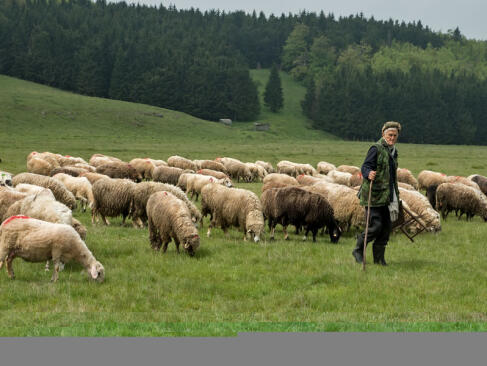 A Découvrir au Kosovo - Brezovica