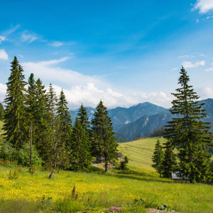 A Découvrir au Kosovo - Les Gorges de la Rugova