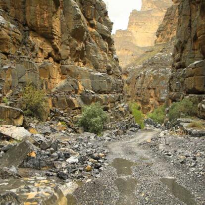 A Découvrir au Sultanat d'Oman - Les Monts Hajar et Rustaq