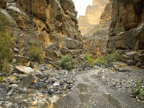 A Découvrir au Sultanat d'Oman - Les Monts Hajar et Rustaq