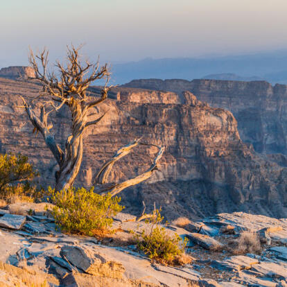 A Découvrir au Sultanat d'Oman - Les Monts Hajar et Rustaq