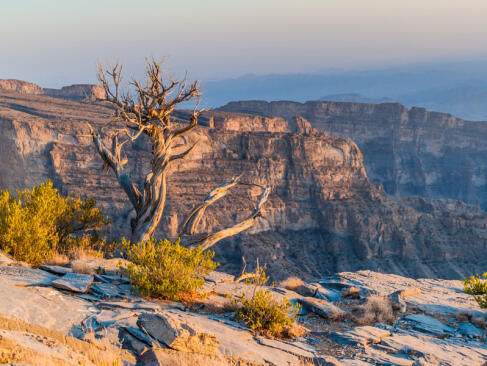 A Découvrir au Sultanat d'Oman - Les Monts Hajar et Rustaq
