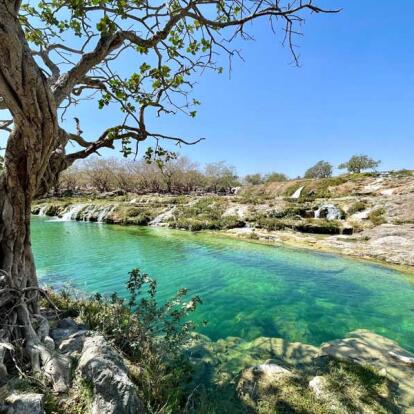 A Découvrir au Sultanat d'Oman - Salalah