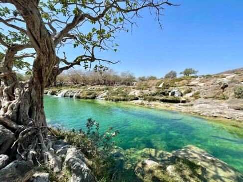 A Découvrir au Sultanat d'Oman - Salalah