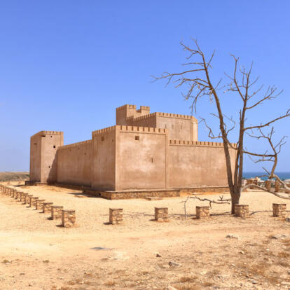 A Découvrir au Sultanat d'Oman - Salalah