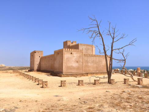 A Découvrir au Sultanat d'Oman - Salalah