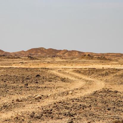 A Découvrir au Sultanat d'Oman : Le Parc National de Jiddat al Harasis