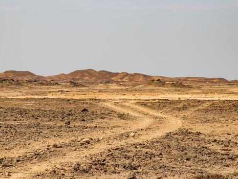 Jiddat Al Harasis A Découvrir au Sultanat d'Oman : Le Parc National de Jiddat al Harasis