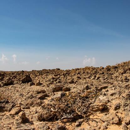 A Découvrir au Sultanat d'Oman : Le Parc National de Jiddat al Harasis