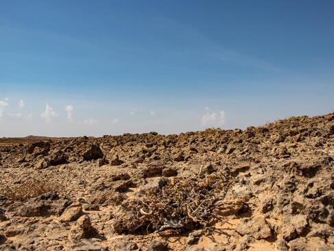 Jiddat Al Harasis A Découvrir au Sultanat d'Oman : Le Parc National de Jiddat al Harasis