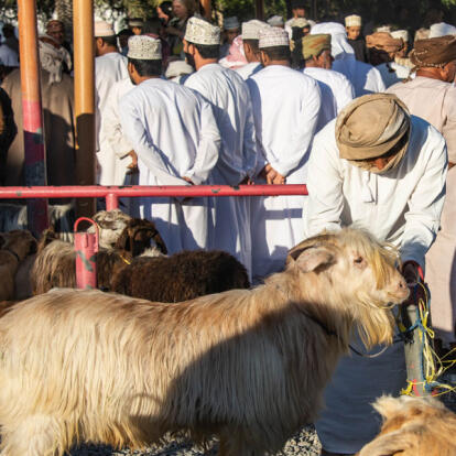 A Découvrir au Sultanat d'Oman - Nizwa