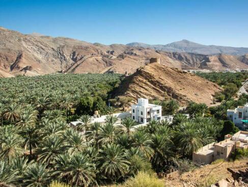 A Découvrir au Sultanat d'Oman - Nizwa