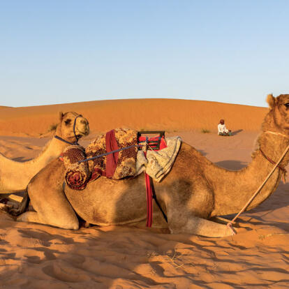 A Découvrir au Sultanat d'Oman - Le désert rouge de Wahiba