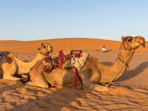 A Découvrir au Sultanat d'Oman - Le désert rouge de Wahiba