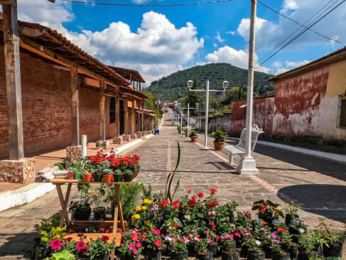 A Découvrir au Salvador - La Route des Fleurs