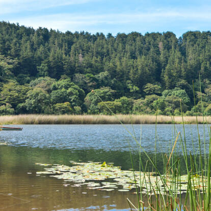 A Découvrir au Salvador - La Route des Fleurs