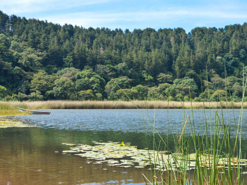 A Découvrir au Salvador - La Route des Fleurs