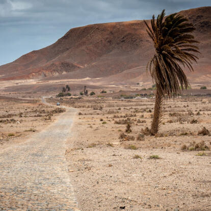A Découvrir au Cap Vert - L'ile de Boa Vista