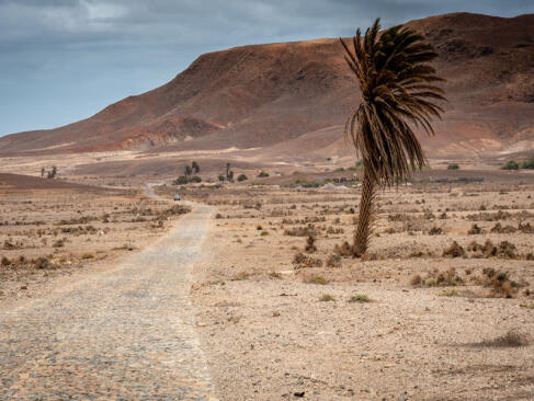 A Découvrir au Cap Vert - L'ile de Boa Vista