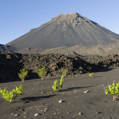 A Découvrir au Cap Vert - L'Ile de Fogo