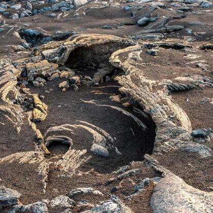 A Découvrir au Cap Vert - L'Ile de Fogo