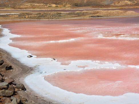 A Découvrir au Cap Vert - L'Ile de Sal