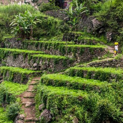 A Découvrir au Cap Vert - L'Île de Santo Antão