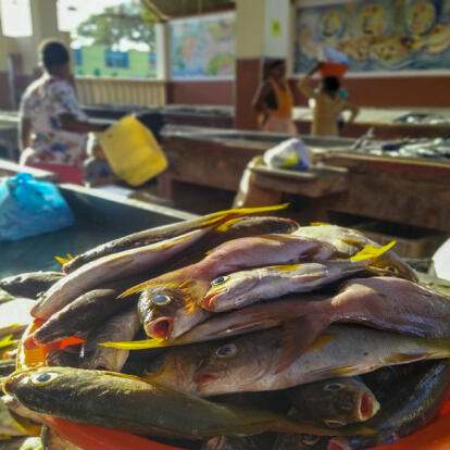 A Découvrir au Cap Vert - L'ile de São Vicente