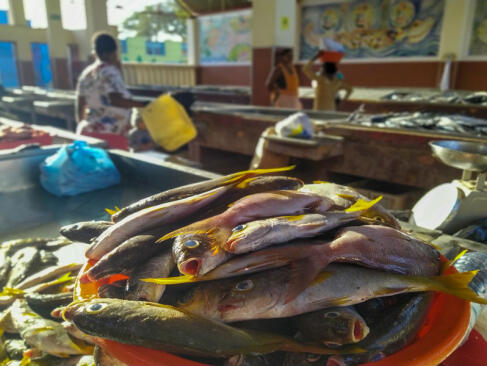 A Découvrir au Cap Vert - L'ile de São Vicente