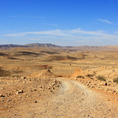 A Découvrir en Israël - Le Désert du Néguev