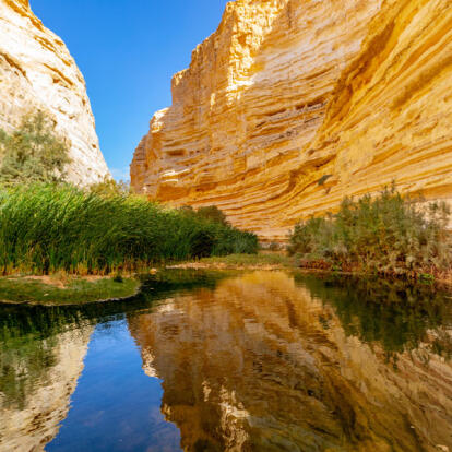 A Découvrir en Israël - Le Désert du Néguev