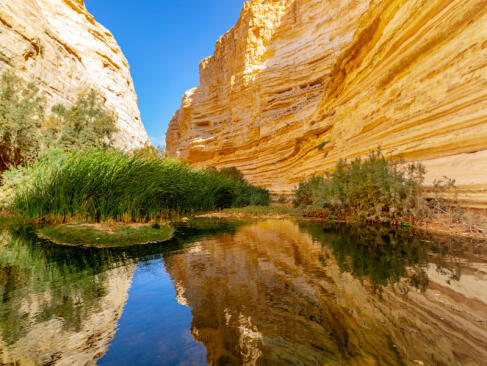 A Découvrir en Israël - Le Désert du Néguev
