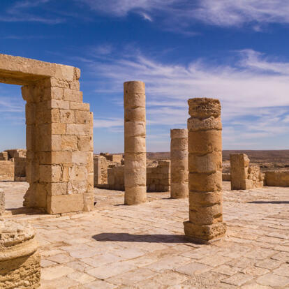 A Découvrir en Israël - Le Désert du Néguev