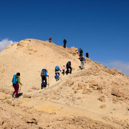 A Découvrir en Israël - Le Désert du Néguev