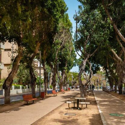 A Découvrir en sraël & Territoires Palestiniens - Tel Aviv