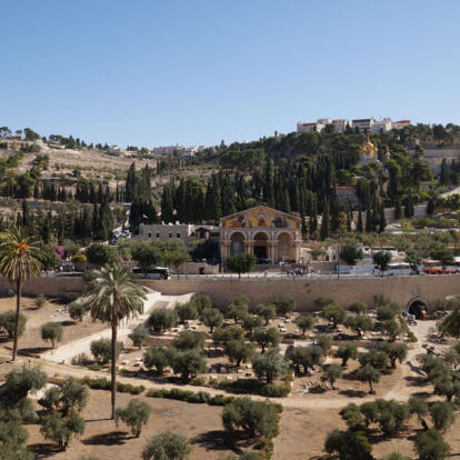 A Découvrir en Israël & Territoires Palestiniens - Jérusalem