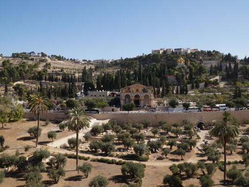 A Découvrir en Israël & Territoires Palestiniens - Jérusalem