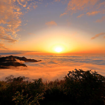 A Découvrir à Taïwan - Alishan