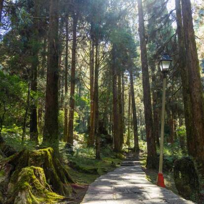 A Découvrir à Taïwan - Alishan