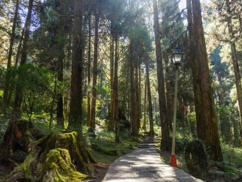 A Découvrir à Taïwan - Alishan