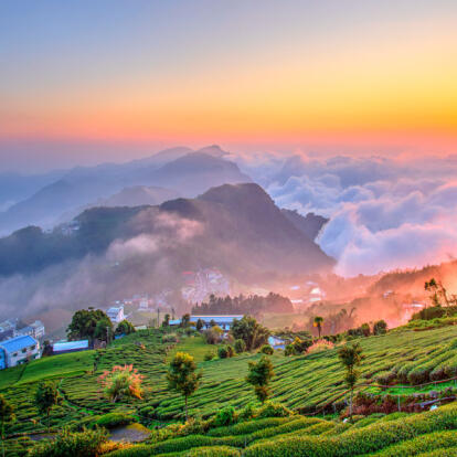 A Découvrir à Taïwan - Alishan