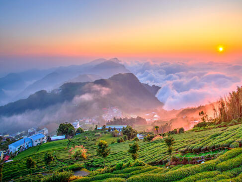 A Découvrir à Taïwan - Alishan