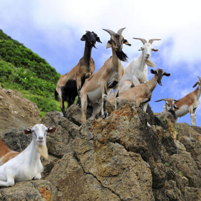 A Découvrir à Taïwan - L'île de Lanyu