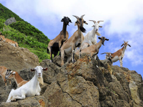 A Découvrir à Taïwan - L'île de Lanyu