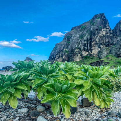 A Découvrir à Taïwan - Ludao (Green Island)