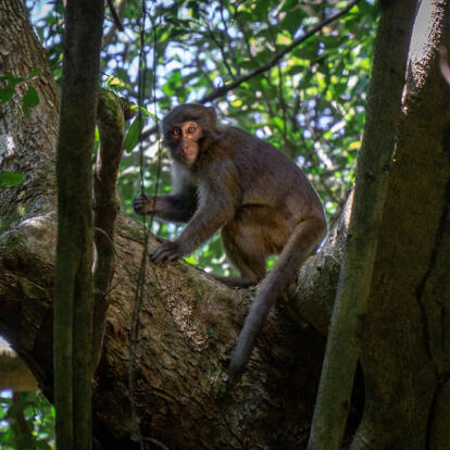 A Découvrir à Taïwan - Le Parc National de Kenting
