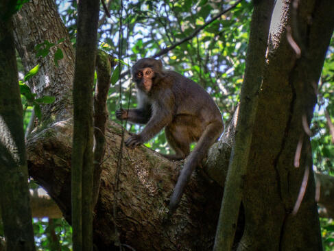 A Découvrir à Taïwan - Le Parc National de Kenting