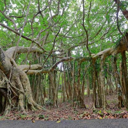 A Découvrir à Taïwan - Le Parc National de Kenting