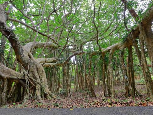 A Découvrir à Taïwan - Le Parc National de Kenting