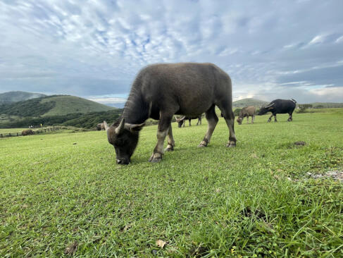 A Découvrir à Taïwan - Le Parc National de Yangmingshan